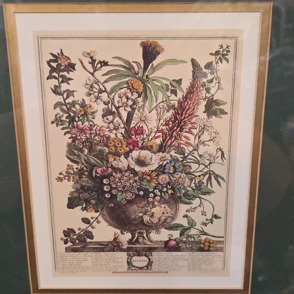 Robert Furbe's Twelve Months Of Flowers Framed Floral Art Print with Gold Frame - Picture 3 of 11